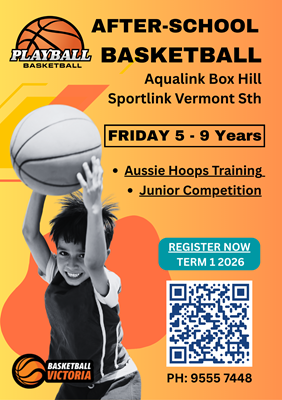 PLAYBALL flier 20261 SML